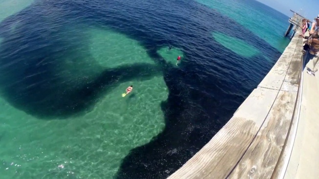 Uhodnete, co je zač tahle skvrna v moři?