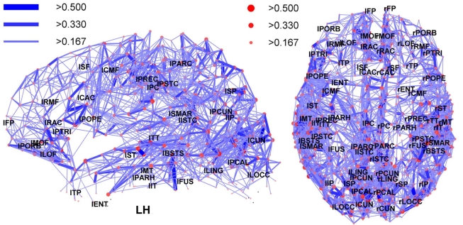Mapa nervové sítě