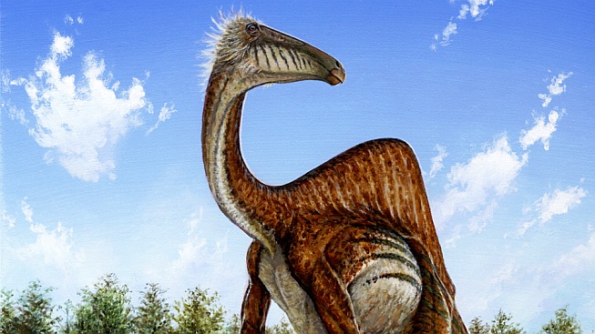 Vědci konečně odhalili podobu záhadného dinosaura