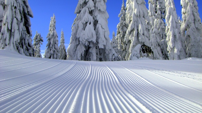 Vědecké kladivo: Proč je sníh bílý?