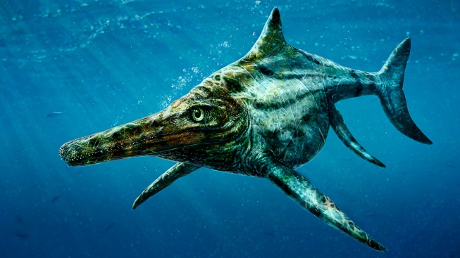 Lochneska je passé, Skotsko se může pochlubit svým vlastním ryboještěrem