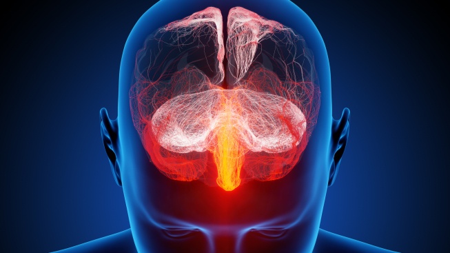 Nanotechnologie umožní dostat lék přímo do kritických oblastí mozku