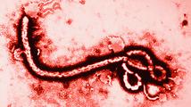 Smrtící virus v Evropě se nepotvrdil. To ale neznamená, že jsme v bezpečí