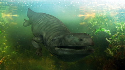 Seznamte se s obřím 'mlokem', který vládl druhohorním řekám