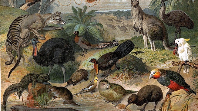 Změna klimatu přinese i vlnu vymírání