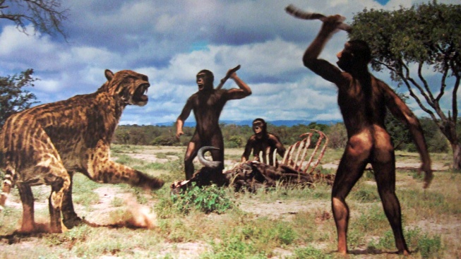 Jsou nejstarší kamenné nástroje dílem 'člověka'?