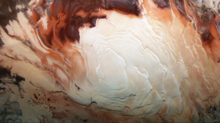 Je Rudá planeta mrtvá poušť? Některé mikroby by na Marsu s přehledem přežily