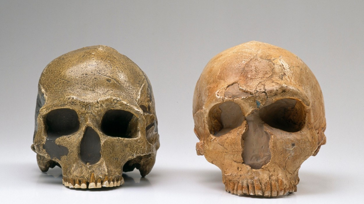 Moderní lidé se s neandrtálci pářili i v Evropě