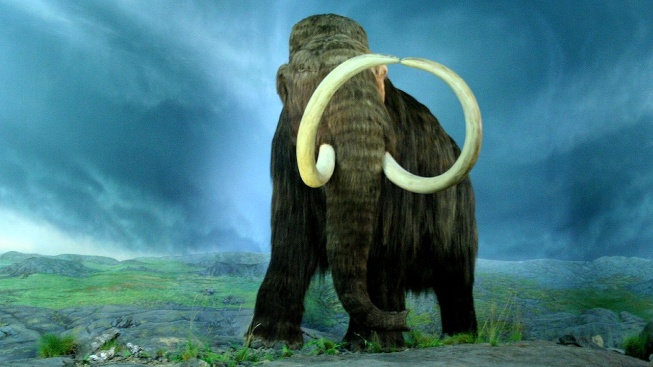 Americký startup je o miliony dolarů blíže k oživení dávno vyhynulých tvorů