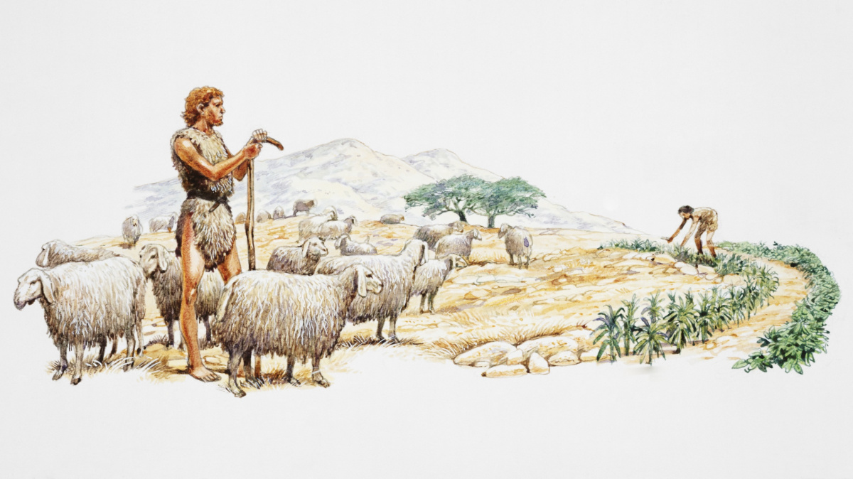 Díky plevelu víme, že zemědělství je starší, než se předpokládalo