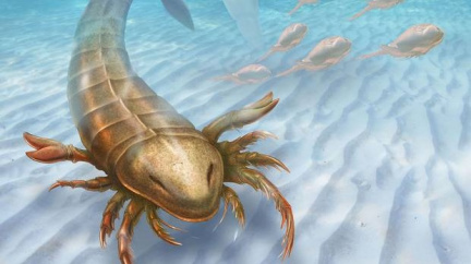 Vědci objevili pravěkého škorpióna. Dostal jméno po trojské válečné lodi