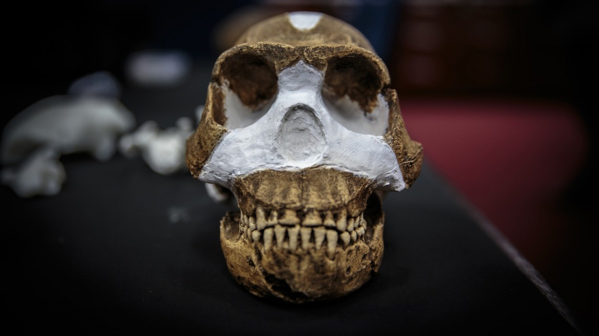 Archeologové objevili nový druh člověka. Měl mozek jako pomeranč