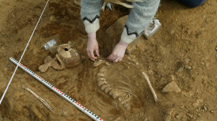 Archeologii můžete dělat i z domova. Díky internetu