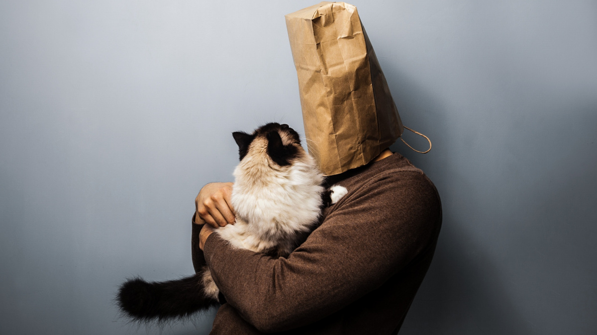 Pravda o kočkách: Chovatel jim rozhodně není lhostejný