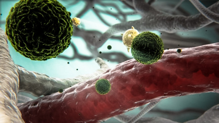 Připravte se na přepisování učebnic: Viry jsou živé a pamatují první buňky!