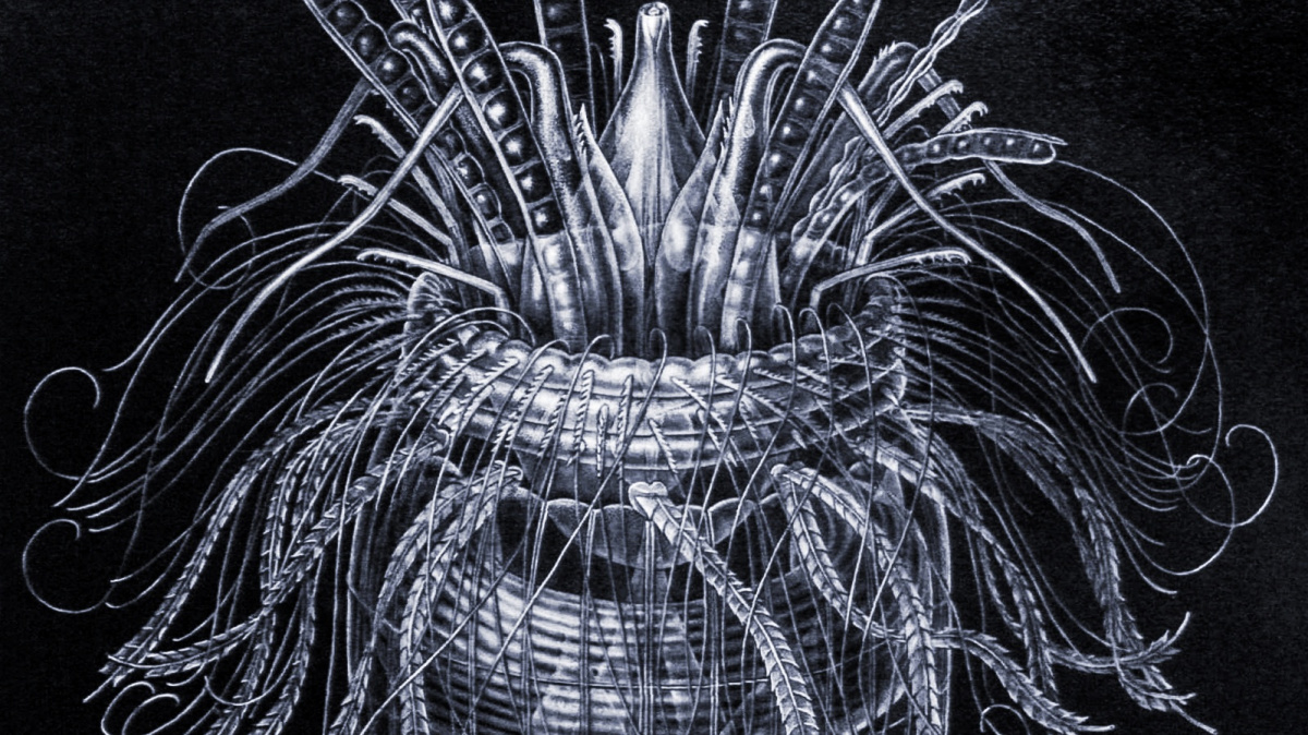 Přežít bez kyslíku dokážou možná jen 'zombie'