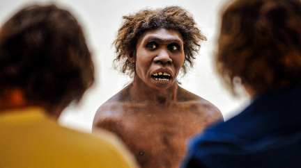 Divoká minulost: Předkové moderního člověka se s příbuznými druhy křížili na potkání
