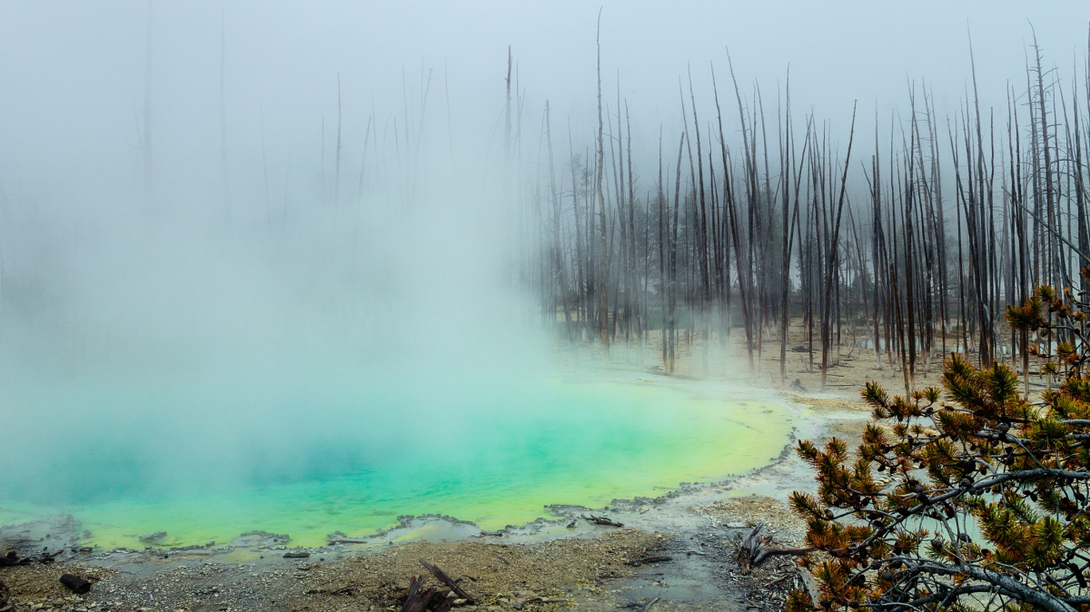 Miniaturní parazité: Nově objevené extrémní organismy z yellowstosnkých jezírek