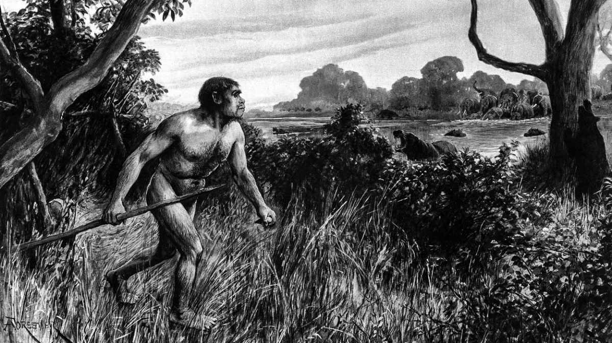 Více než stoletá hádanka vyřešena. Vědci našli autora 'Piltdownského člověka'