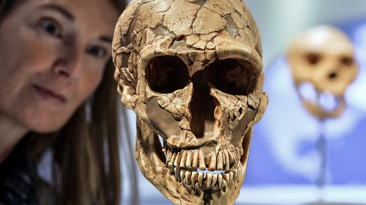 Proč moderní lidé 'převálcovali' neandrtálce? Možná díky oblečení