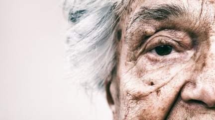 Dosáhli už lidé maxima dlouhověkosti? Demografický článek spustil mezi vědci bouři