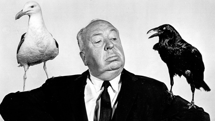Objev jak od Hitchcocka: Dlouhodobým lovem zvětšujeme ptákům mozky