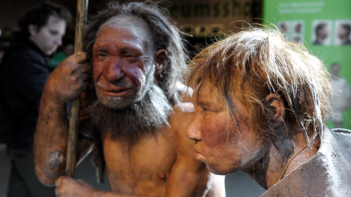 Počítače odhalují tajemná pravidla vývoje jazyka