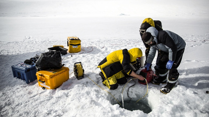 Nové kolo antarktických závodů: Bitva o nejstarší led