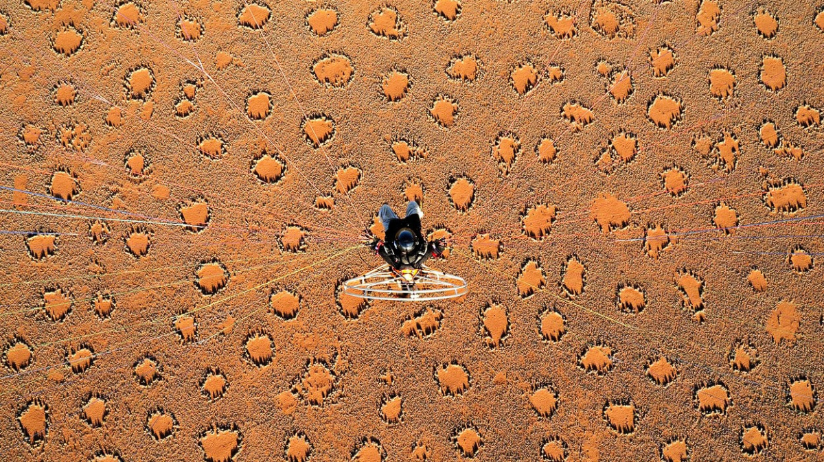 Záhada tajemných vílích kruhů rozluštěna. Vědcům pomohl jiný úhel pohledu