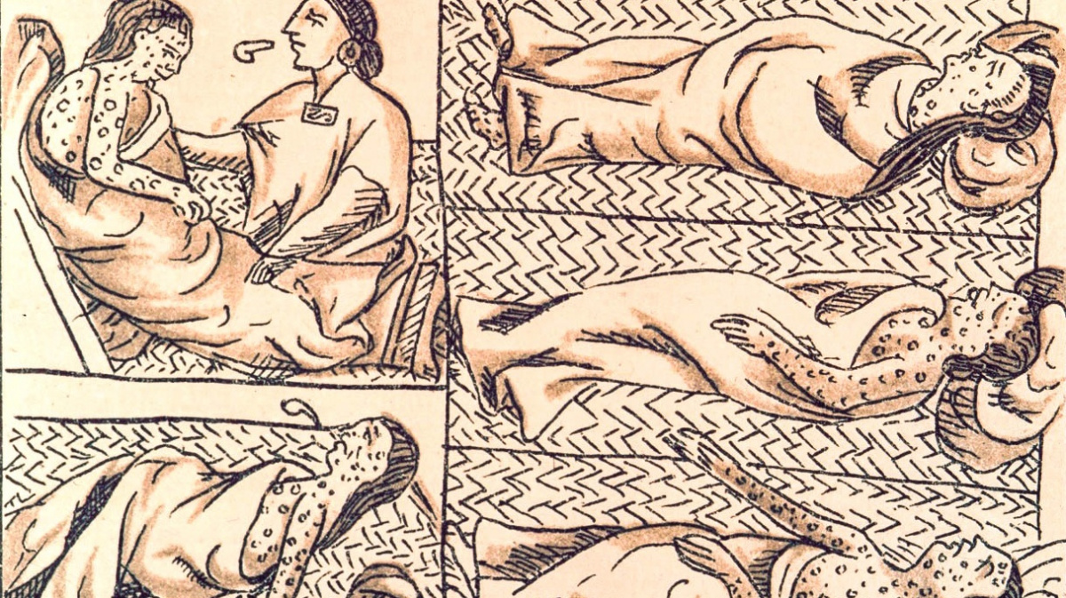 Nejsmrtelnější epidemii v dějinách lidstva patrně způsobil paratyfus