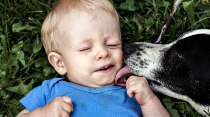 Zdraví prospěšná domácí zvířata: Pomáhají předcházet alergiím i obezitě