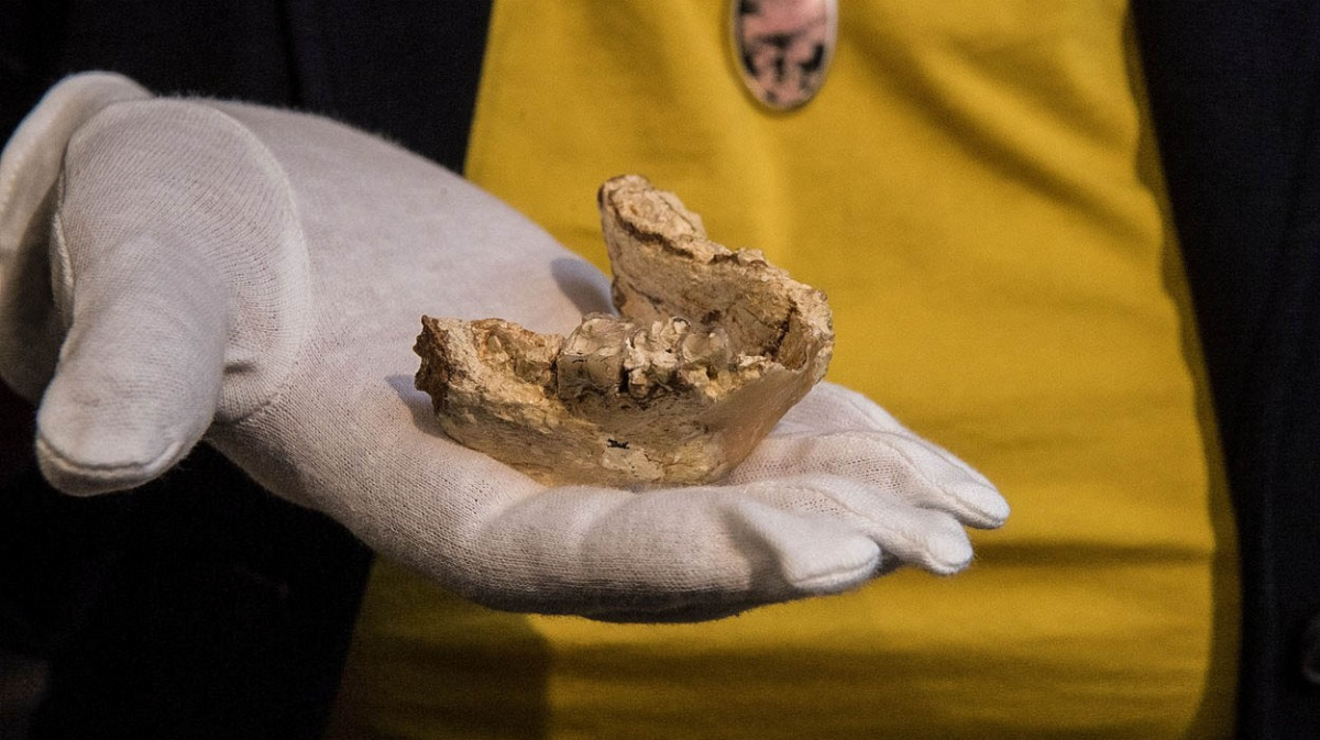 Co když kolébka lidstva leží ve skutečnosti v Evropě, nikoli v Africe?