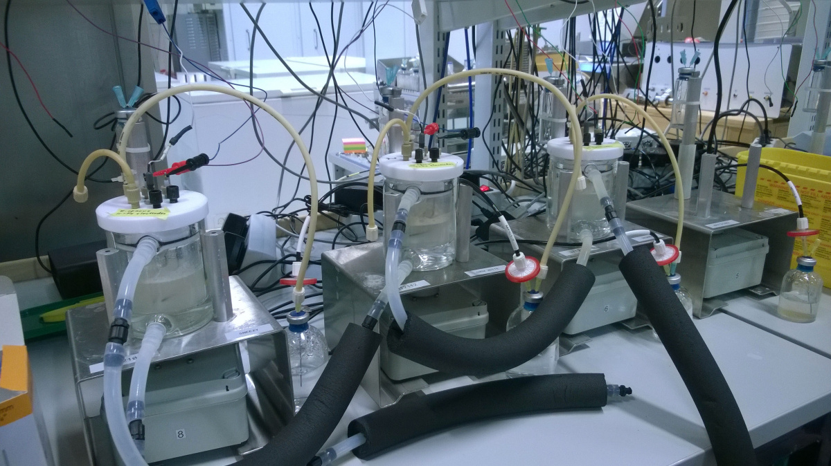 Nakrmí svět elektřina? Vědci vymysleli, jak s její pomocí snáze vytvářet jídlo