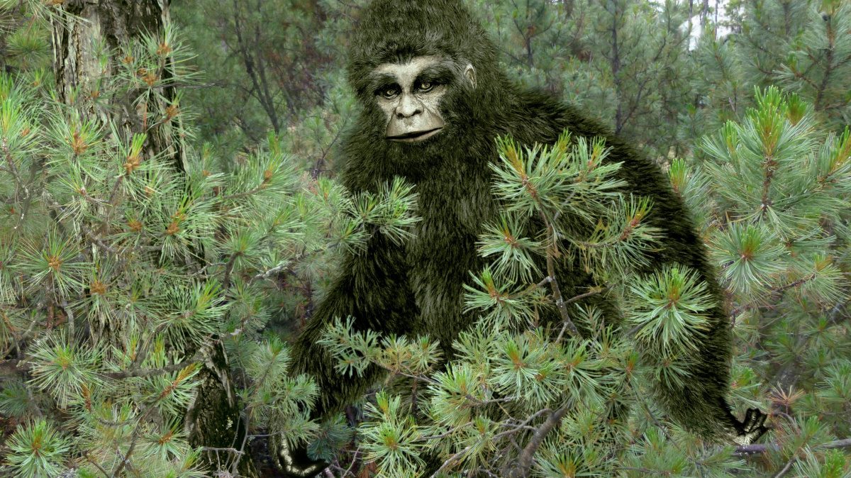 Existuje Yetti? Vědci podnikli dosud nejobsáhlejší analýzu jeho údajných pozůstatků