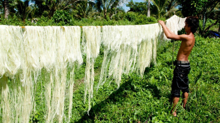 Do módy vstupují vědci. Vyrábí látky z odpadků, podhoubí i pavučin