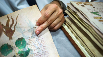 Umělá inteligence možná rozluštila tajemný Voynichův rukopis ze středověké Prahy