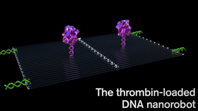 DNA nanorobot