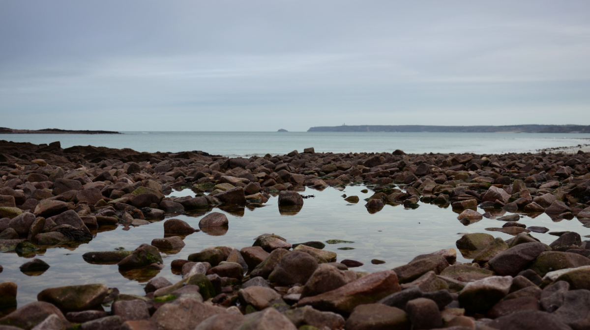 Proč obratlovci osídlili souš? Možná je tam vyhnal Měsíc