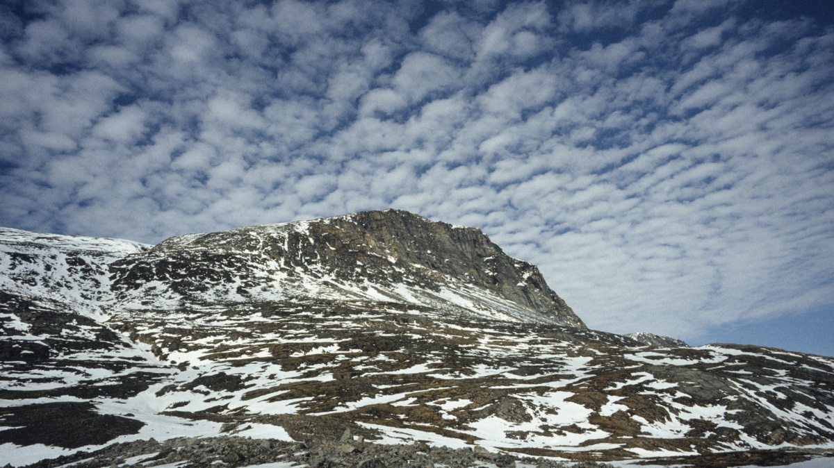 Za současné mrazy může 'vedro' na severním pólu
