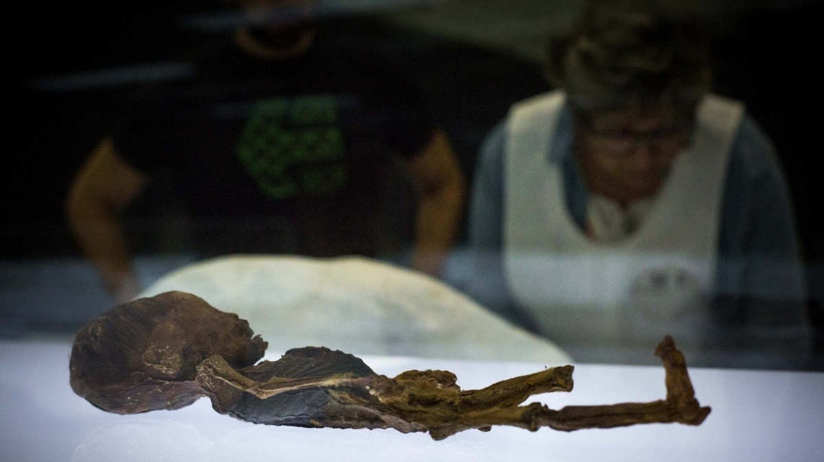 Genetici odhalili původ chilského 'mimozemšťana'