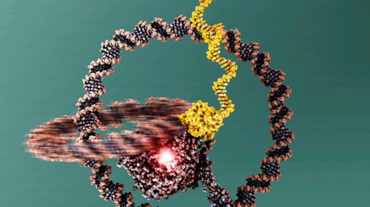 Vědci vytvořili rotační nanomotor z kroužků DNA. Jde o zcela novou formu pohybu
