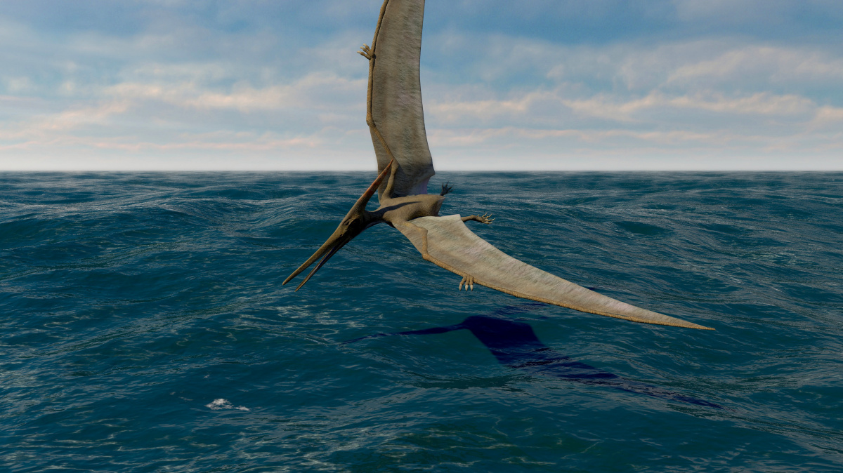 Nové nálezy mění pohled na vyhynutí ptakoještěrů