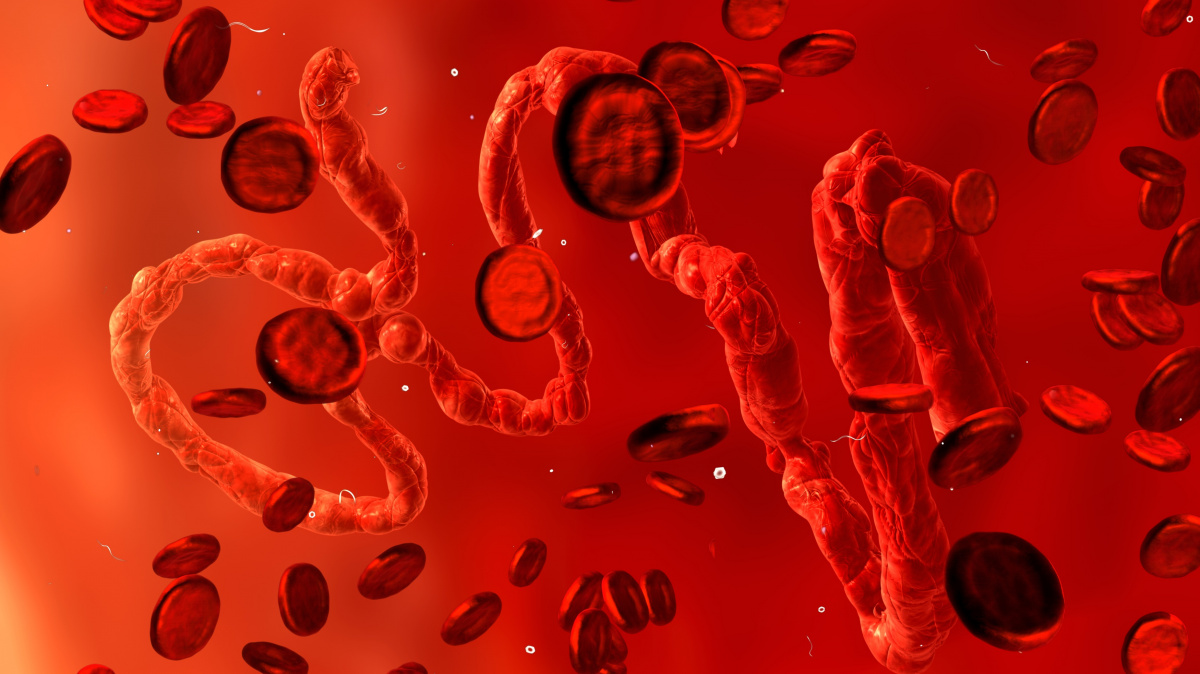 Lidské buňky budou imunní vůči všem virům, slibuje genetický projekt