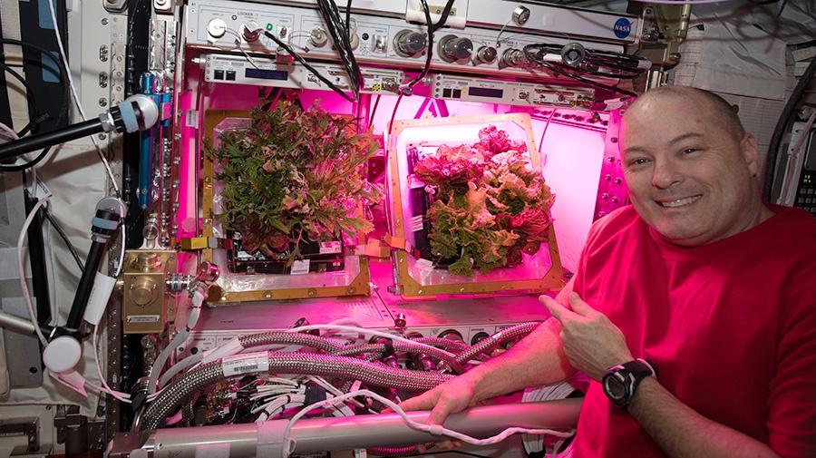Jak bude vypadat zahrádka kosmonautů? NASA zjišťuje, která zelenina přežije ve vesmíru