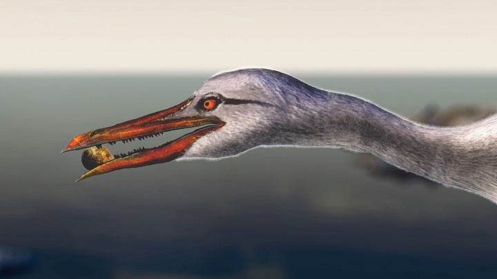 Jak z dinosaurů vznikli ptáci? Ikonický Ichthyornis odhaluje evoluci zobáku