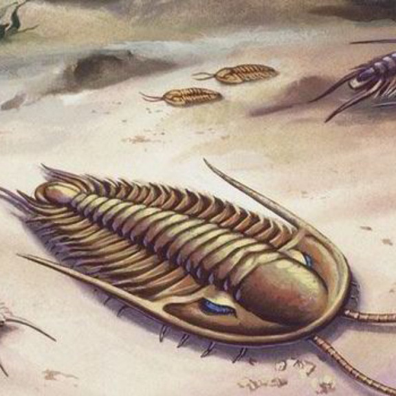 V Číně objevili nejstarší otisky nohou živočicha na souši