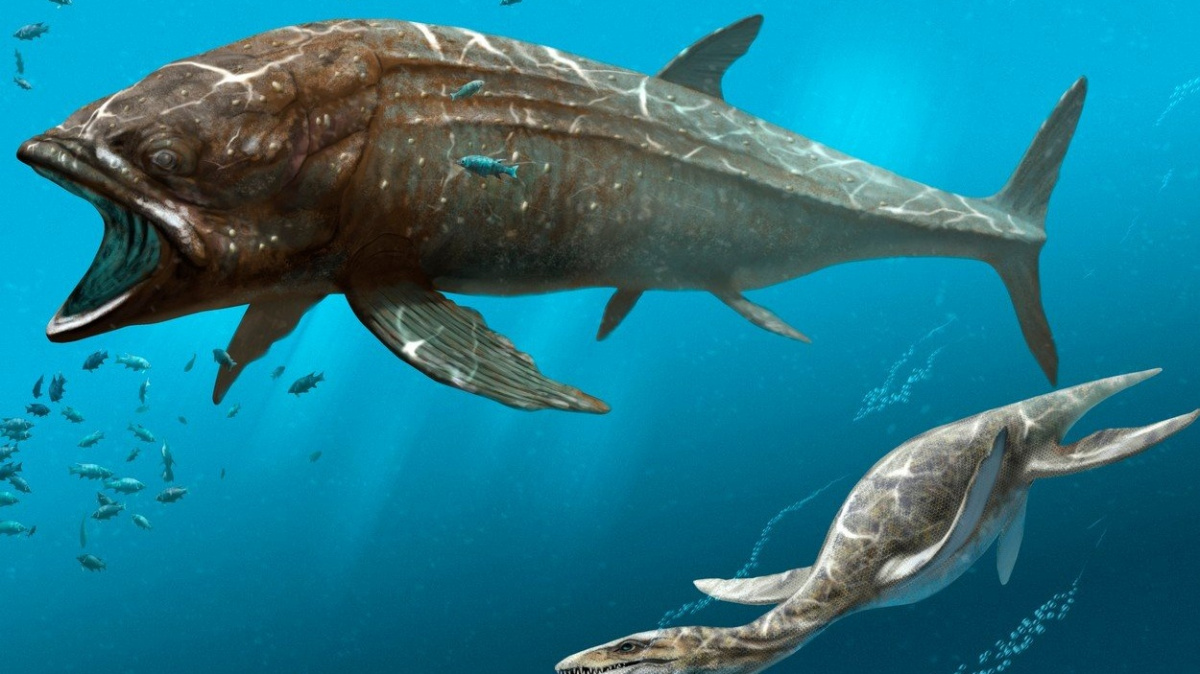 Kapitální úlovek: Druhohorní ryba mohla dorůstat bezmála padesáti tun