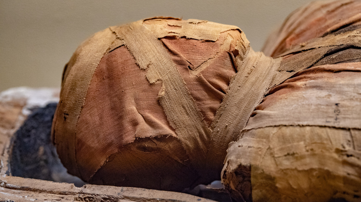 Ve starém Egyptě trpěli rakovinou stokrát méně, tvrdí chybná studie