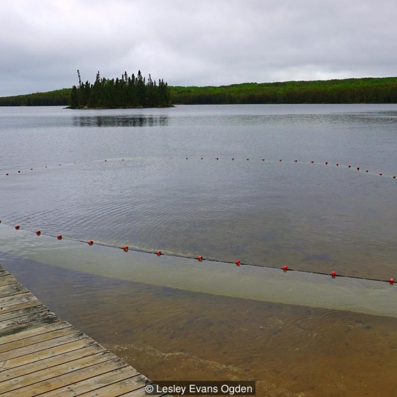 Kanadští vědci úmyslně vytvořili ropnou skvrnu, aby nás před jinými chránili