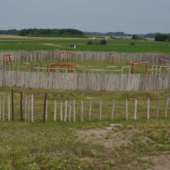 Archeologové v Německu prozkoumali kontinentální verzi 'Stonehenge'